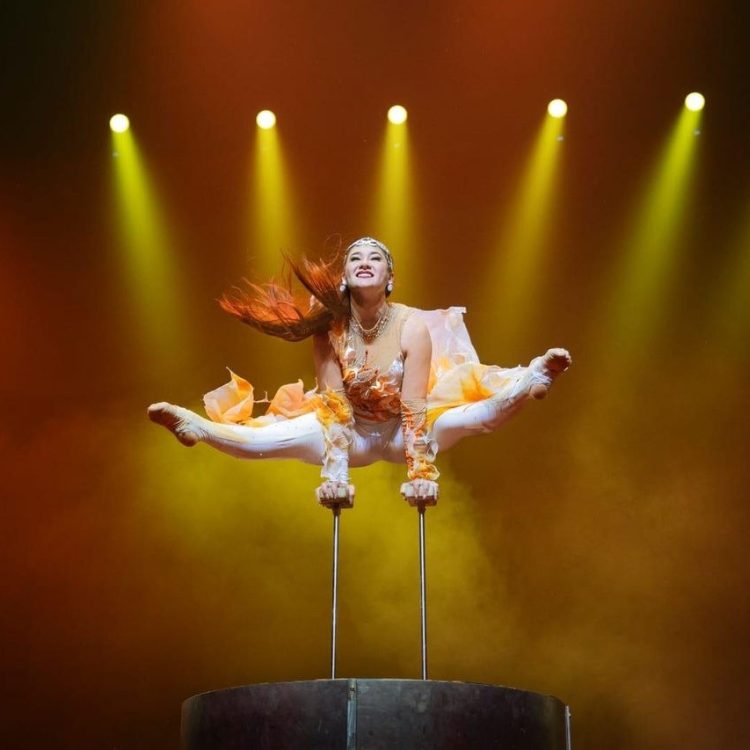 Slagharen winter 2005