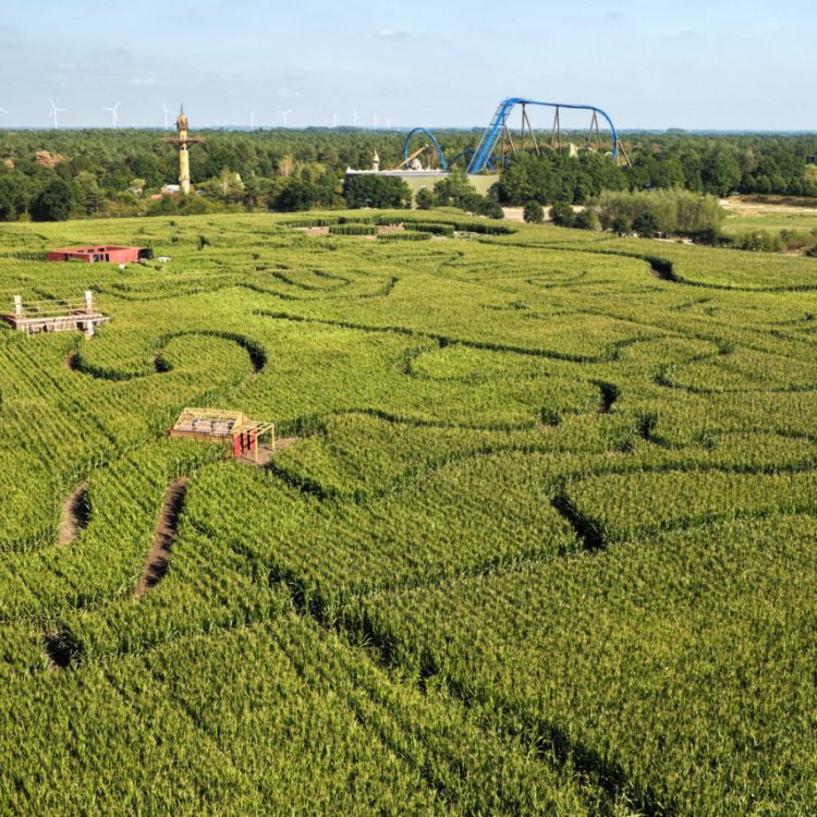 Halloween Maze2026
